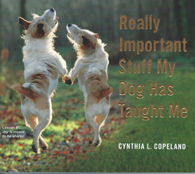 Really Important Stuff My Dog Has Taught Me
