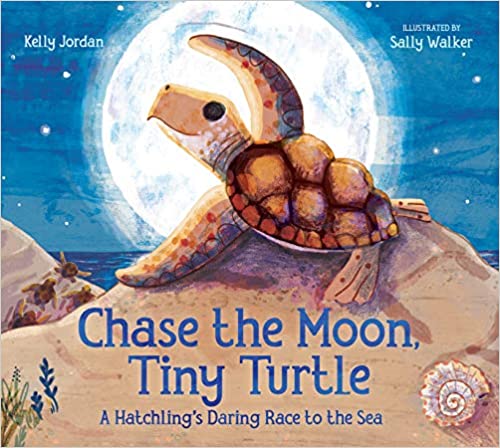 Chase the Moon, Tiny Turtle - Dot Gibson Publications