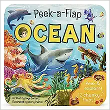 Ocean - Peek A Flap