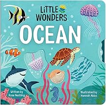 Ocean - Little Wonders
